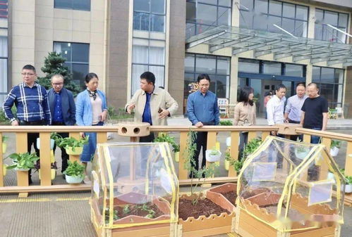 貝瑪教育 麗水市學(xué)前教育專家實(shí)地參觀指導(dǎo)，共促教育發(fā)展